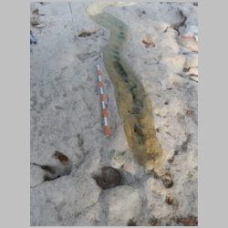 DSCN0891 Partly done latex mold.JPG